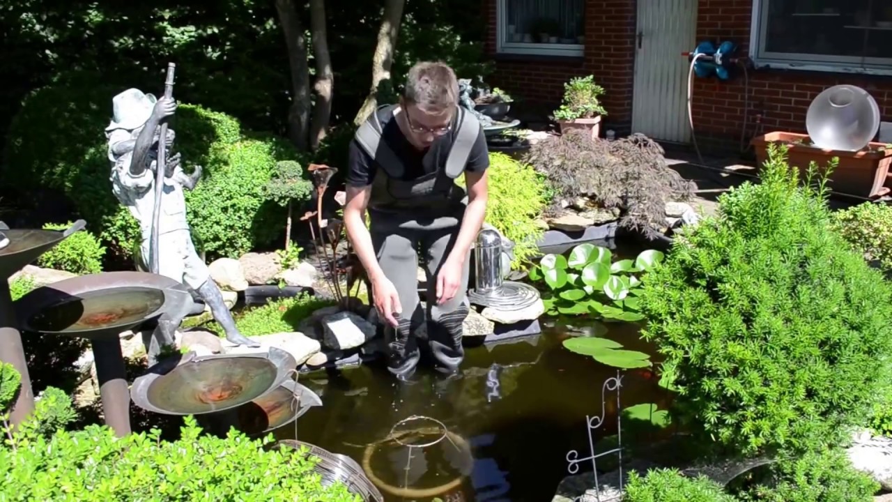 Fischfernseher® Der Gärtnermarkt